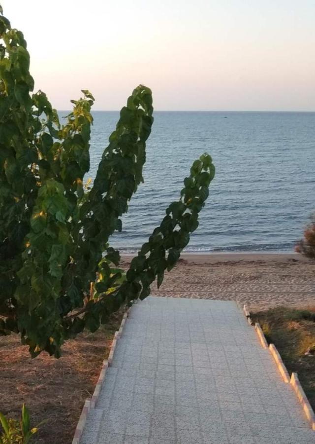 Tatil Evi Theo House In Kyllini Zakynthos *